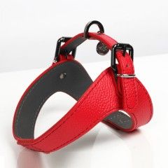 Dandy Harness Red for dogs - Milk&Pepper