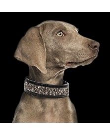 Quartz Collar for dogs - Milk&Pepper