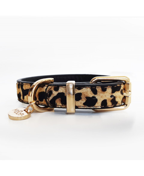 Acheter Collier Et Harnais Pour Chien Louis Vuitton 2023