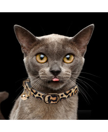 Animalerie pour chat : Collier cuir Farandole