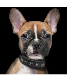 Calavera Leather Dog Collar - Milk&Pepper