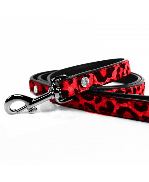 red leather leash