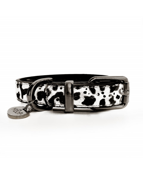 Dalmatian dog collar - Milk&Pepper