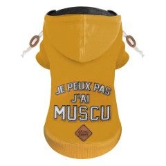 Sweat Crunch Jaune pour chien - Milk&Pepper