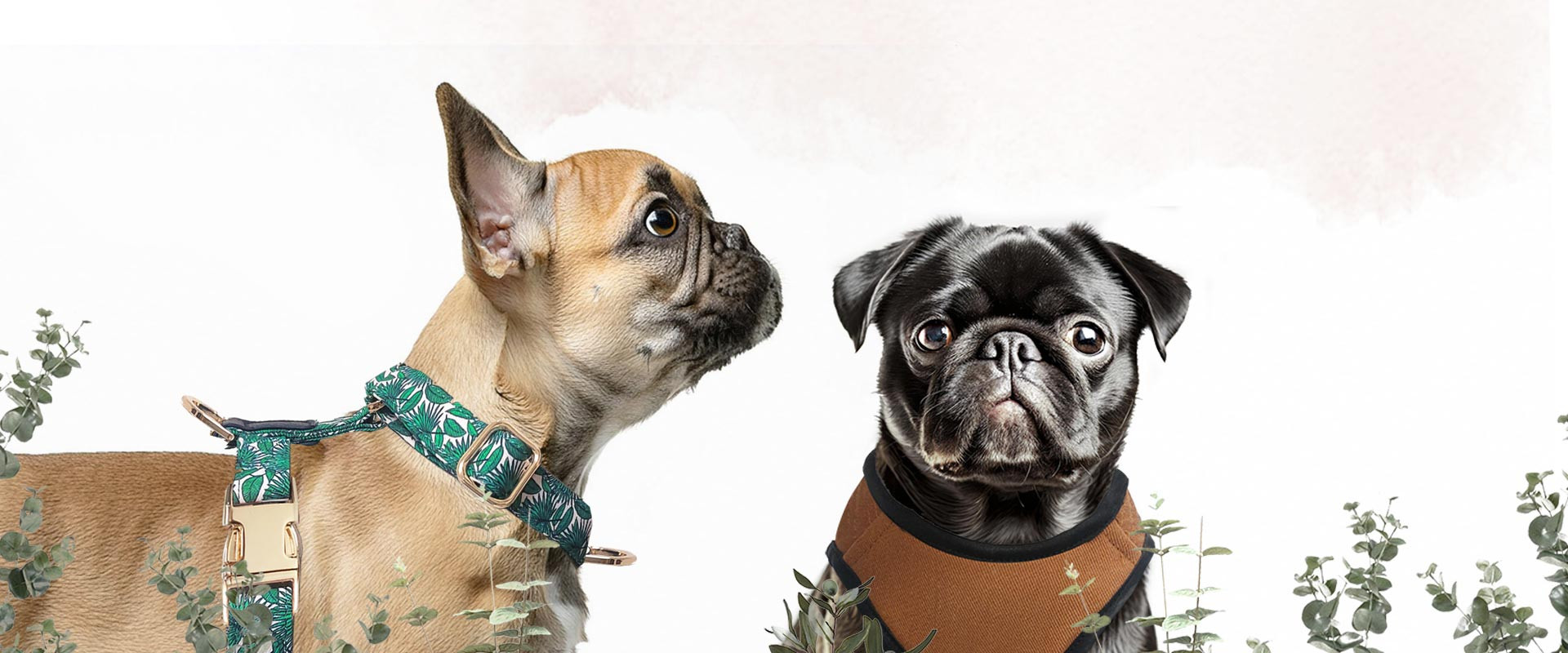 Milk & Pepper, Mode & Accessoires spécial Bouledogue / Carlin - été 2025
