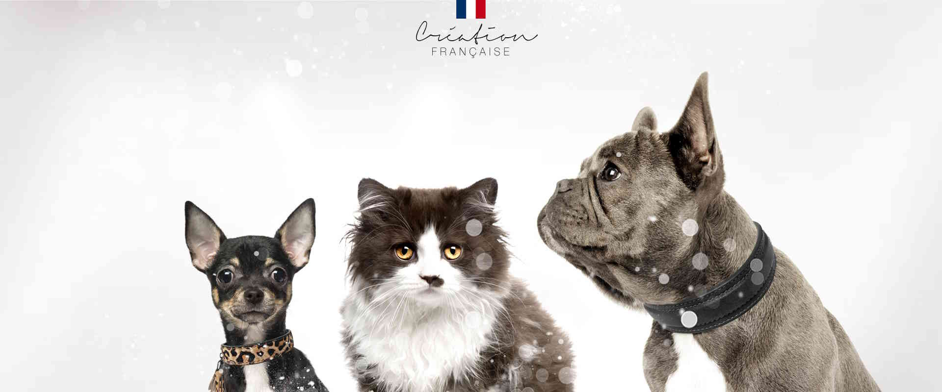 Harnais pour chat vichy – French Bandit