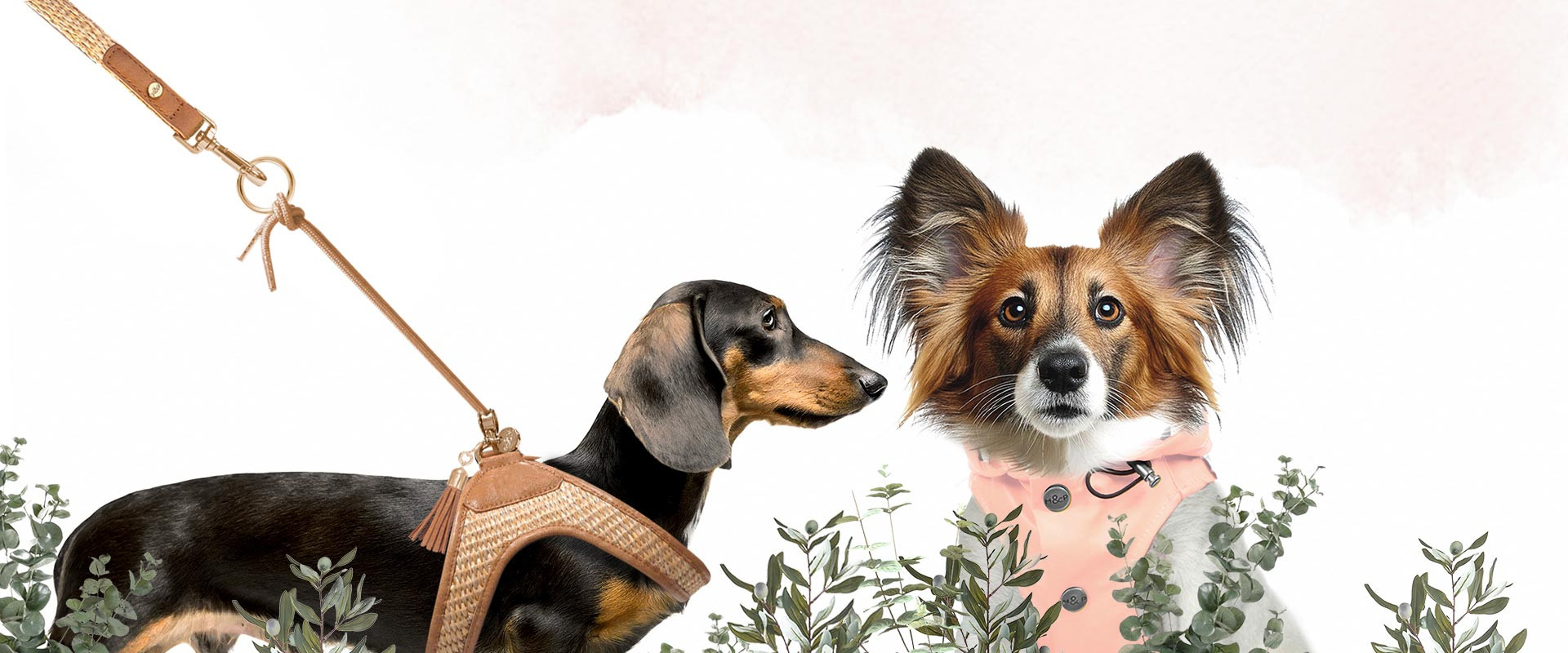 Milk & Pepper, Fashion And Accessories For Dogs & Cats -  Accessories summer 2025