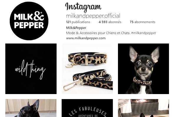 Vêtements & Accessoires Pour Chiens et Chats